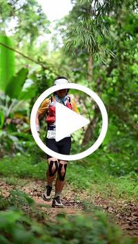 BIB:  <button type="button" onclick="openModal(26823365)" class="btn btn-primary btn-sm float-right" data-toggle="modal" data-target=".modal-high-quality">
                <i class="fa fa-download"></i> Download
                </button>